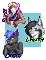 Badge Batch 3