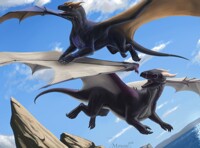 YCH "Aerobatics"