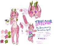 Taylour REF SHEET