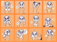 [C] Kim the Greyhound