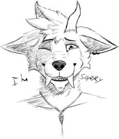 im sorry