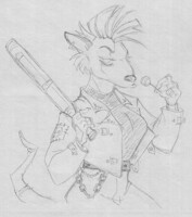 handsome rat