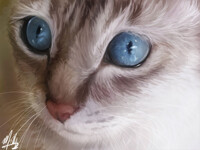 Speedpaint - Big Eyed