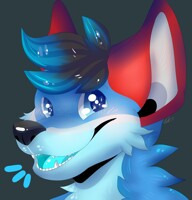 "excited wolf noise"