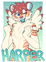 [C] Harper Badge