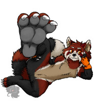 Panda Paw
