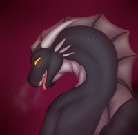 Rawr