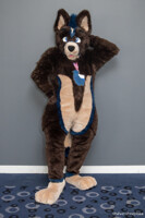 FurDU 2019: Tarkus Can Vogue