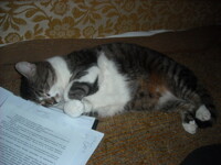 Tired after hard-day's sleep.
