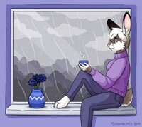 [C] Loz Enjoys a Cuppa