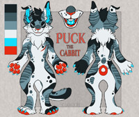 Puck the Cabbit