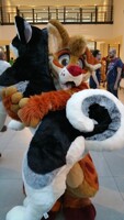 Eurofurence 24 - Sedona