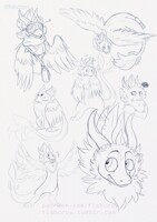 Derg sketches