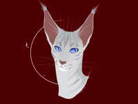 my warriorsona
