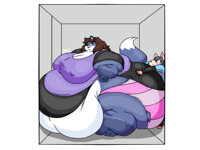 Eleva-squished