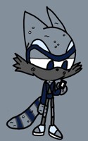 Another new OC,Mist the Raccoon