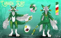 Canada Dry-character sheet