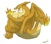 Mega Zard Y