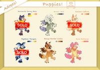 €20 Adopts! (Good Boi edition)