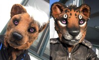 Before and After Airbrushing