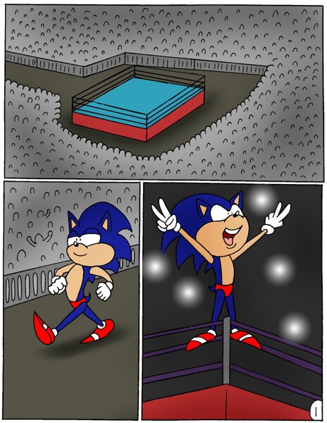 Sonic vs Amy