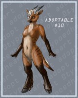 Talbuk Adopt OPEN