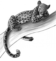 Lounge Leopard