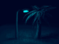 06-28-19 [Palm in the street light]