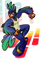 Birb