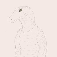 Caiman Friend