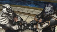 FFXIV - The Crew