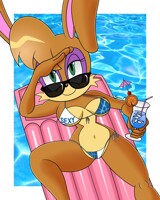 Pool Buns