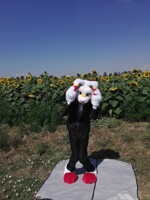 Scorbunny agent