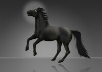 Apocalypse horse