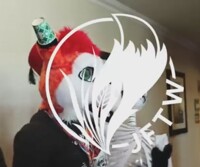 **VIDEO** Leo the Fox on the UK - Part 2, JFTW 2019