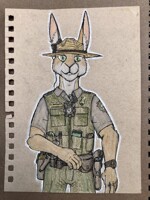 Ranger Bun