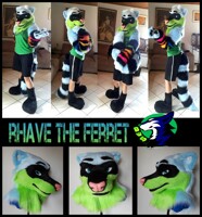 Introducing Rhave