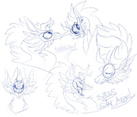 Sketches