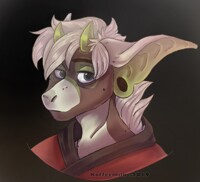 What are you looking at?