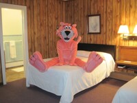 Snagglepuss poses NUDE! #1