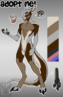 Kangaroo adopt: -Closed-