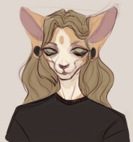 sketch