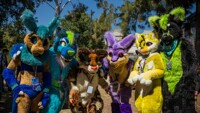 MFC 2019: Unity!