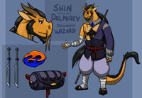 DnD Character - Shin Delmirev the Dragonborn Wizard