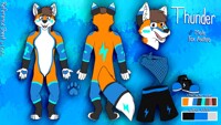 Thunder Reference Sheet (Comission)