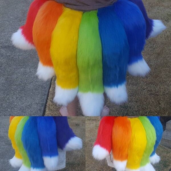 rainbow gay pride tails