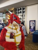 My first furry convention