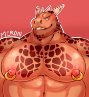 bust 28