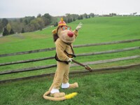 Woodstock Wednesday #1