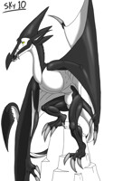 SkyShadow, circa 2010